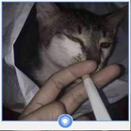 SnapK